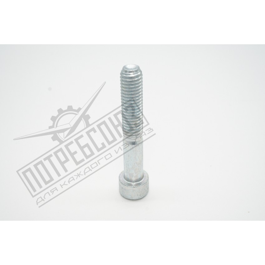 Болт крепления натяжного ролика дв.ЗМЗ 406, 409 (УАЗ, ГАЗ)  М10*60 