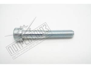 Болт крепления натяжного ролика дв.ЗМЗ 406, 409 (УАЗ, ГАЗ)  М10*60 